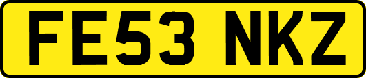 FE53NKZ