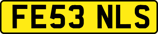 FE53NLS