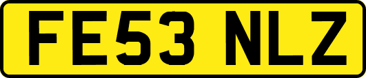 FE53NLZ