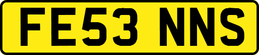 FE53NNS