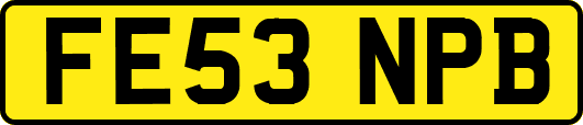 FE53NPB