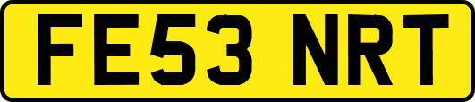 FE53NRT