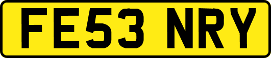 FE53NRY