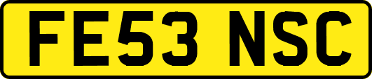 FE53NSC
