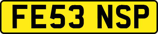 FE53NSP