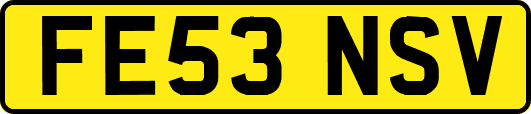 FE53NSV