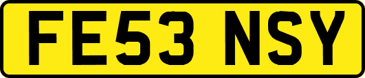 FE53NSY