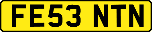 FE53NTN