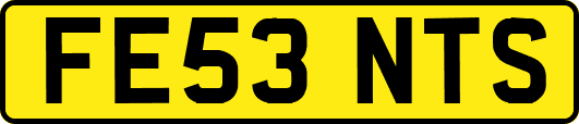 FE53NTS