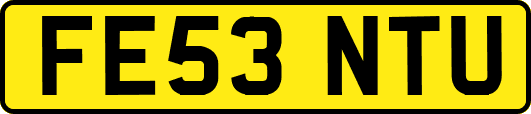 FE53NTU