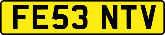 FE53NTV