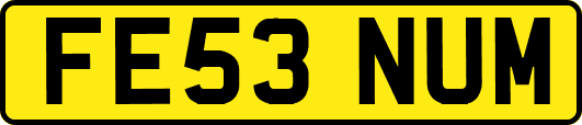 FE53NUM