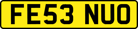 FE53NUO