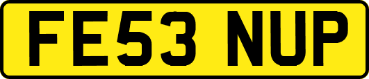 FE53NUP