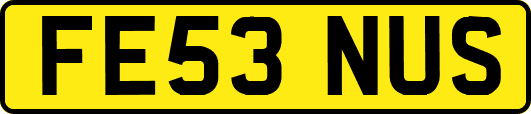 FE53NUS