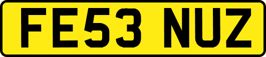 FE53NUZ