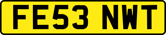 FE53NWT