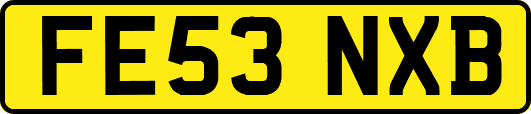 FE53NXB