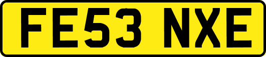 FE53NXE