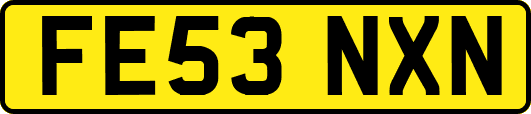 FE53NXN