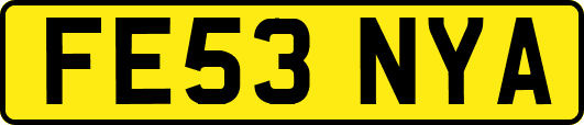 FE53NYA