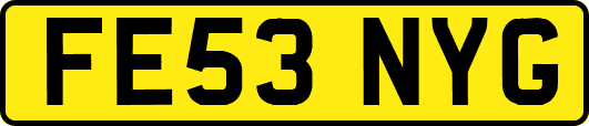 FE53NYG