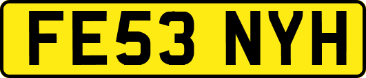FE53NYH
