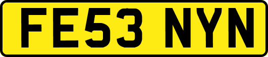 FE53NYN