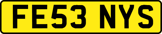 FE53NYS