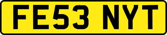 FE53NYT