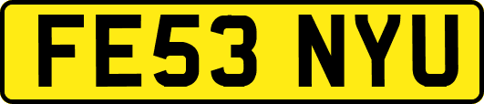 FE53NYU