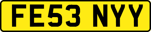 FE53NYY