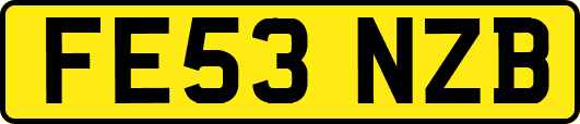 FE53NZB