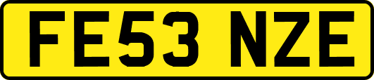 FE53NZE