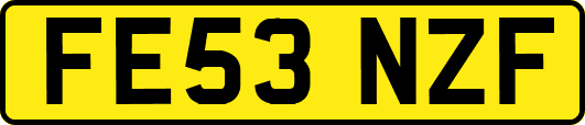 FE53NZF
