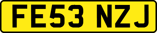 FE53NZJ