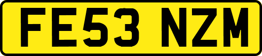 FE53NZM