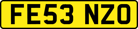FE53NZO