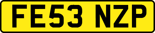 FE53NZP