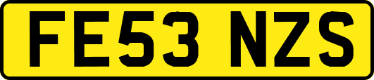 FE53NZS