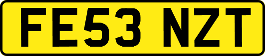FE53NZT