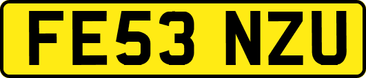 FE53NZU