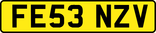 FE53NZV