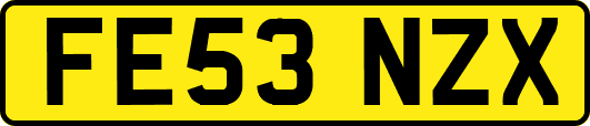 FE53NZX