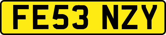 FE53NZY