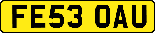 FE53OAU