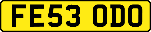 FE53ODO