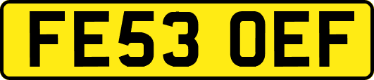 FE53OEF