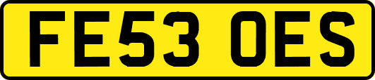 FE53OES