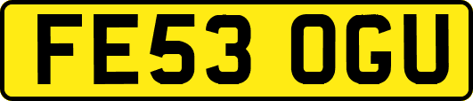 FE53OGU
